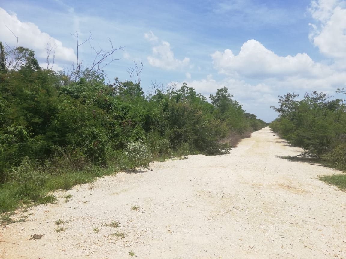 Terreno en venta — Mérida