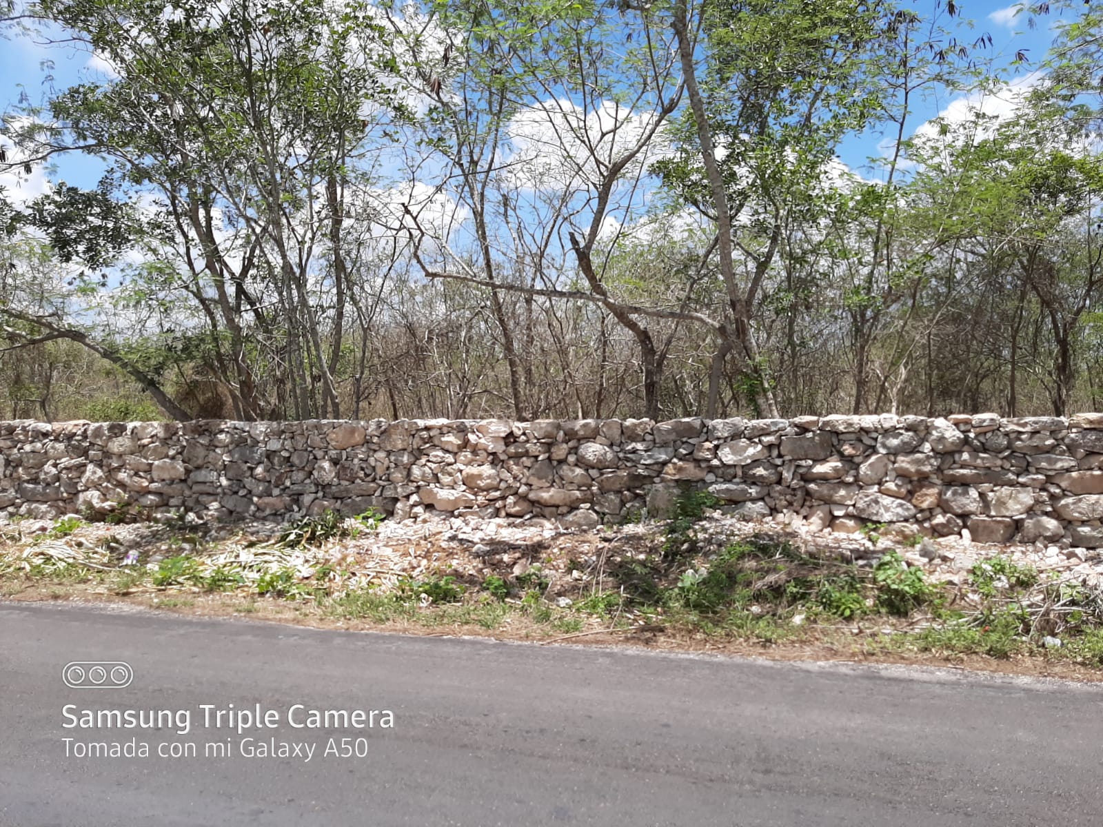 Propiedad en venta — Mérida