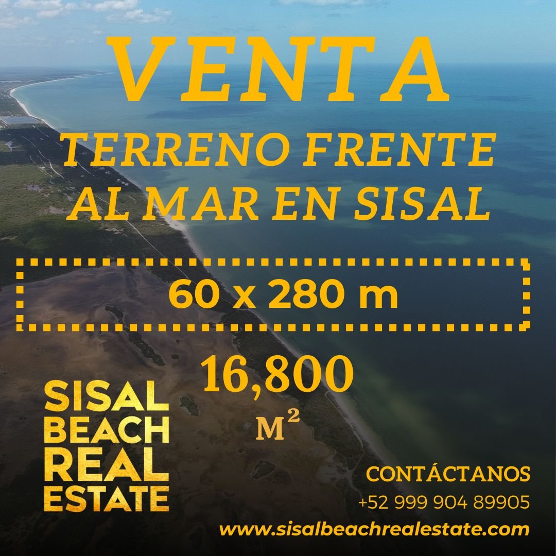 Terreno en venta — Zona Centro de Sisal (Downtown)