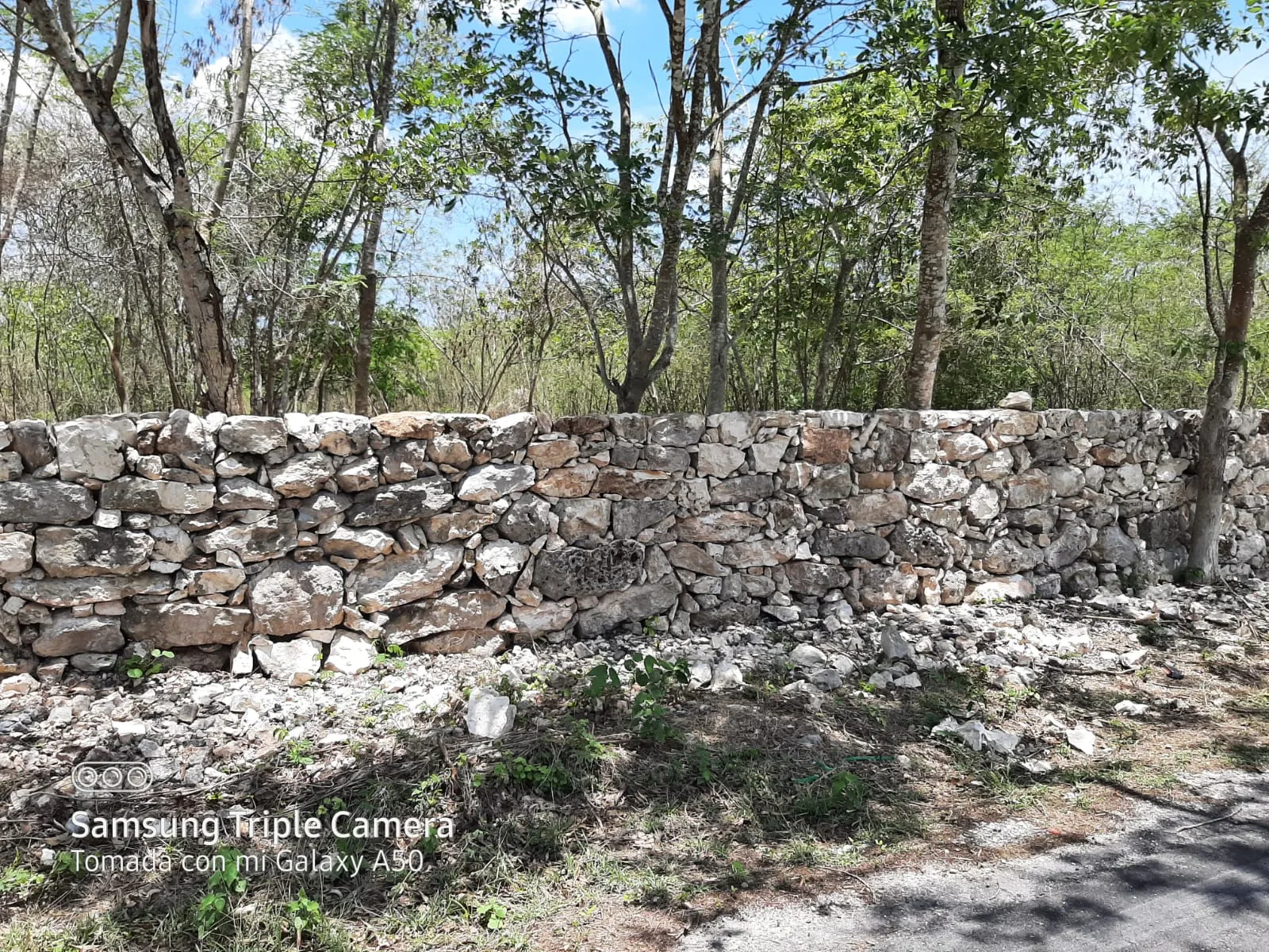 Propiedad en venta en Mérida, Yucatán