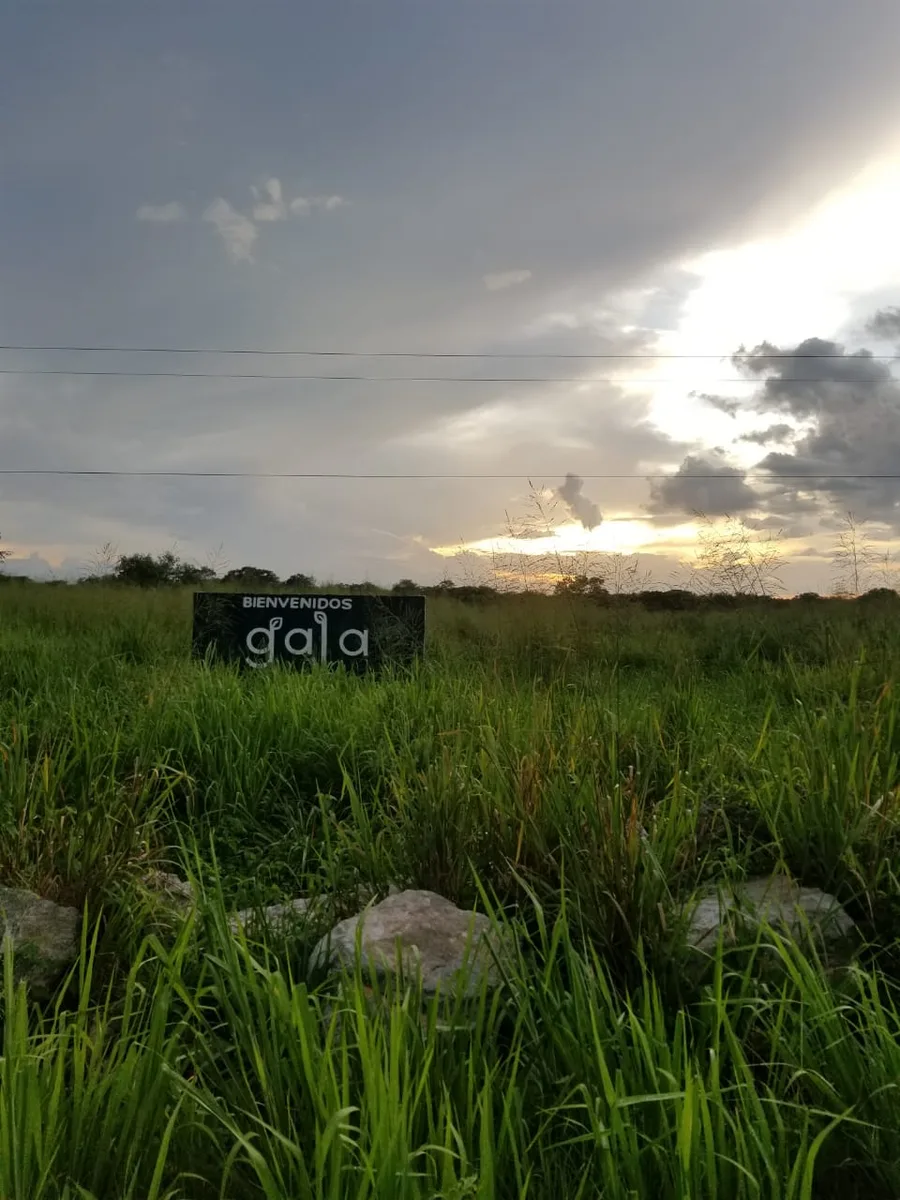 Propiedad en venta en Mérida, Yucatán